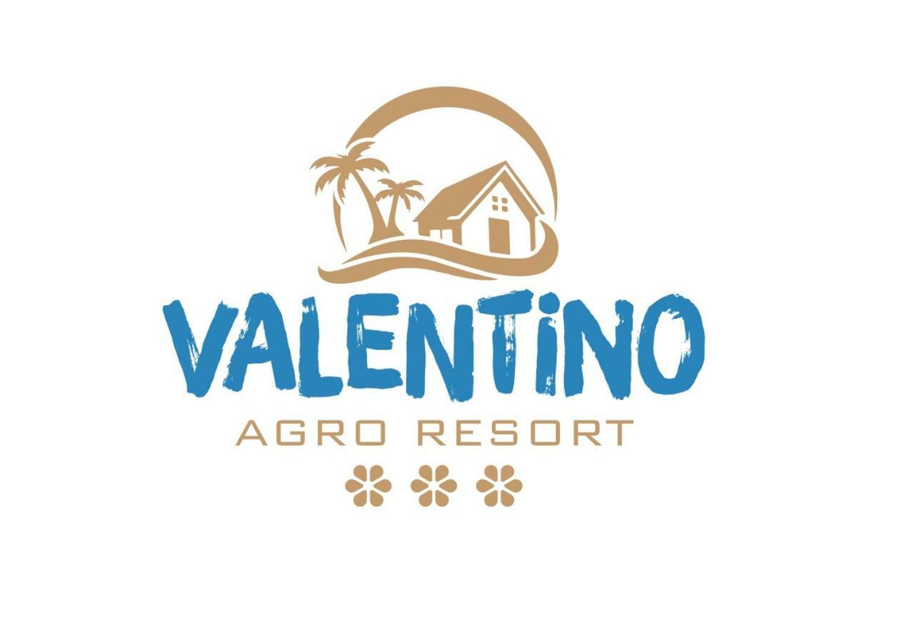 Pensiunea Agroturistica Valentino 科斯蒂内什蒂 外观 照片